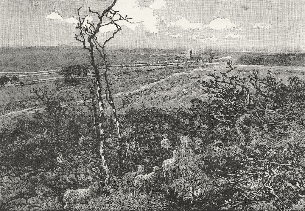 SUTTON. Banstead Downs. Surrey 1888 old antique vintage print picture